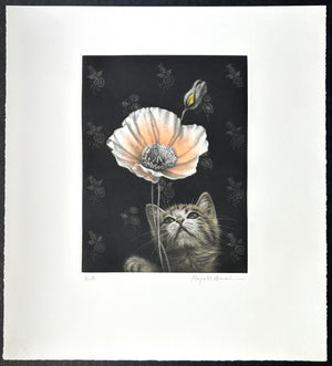 - Kitten and Poppy Flower　-