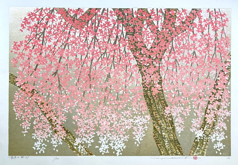 - Shidare Zakura 29  (Weeping Cherry 29) -