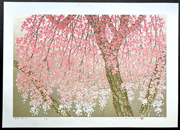 - Shidare Zakura 29  (Weeping Cherry 29) -