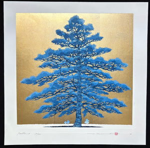 - Pine Tree 1A -