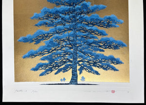 - Pine Tree 1A -