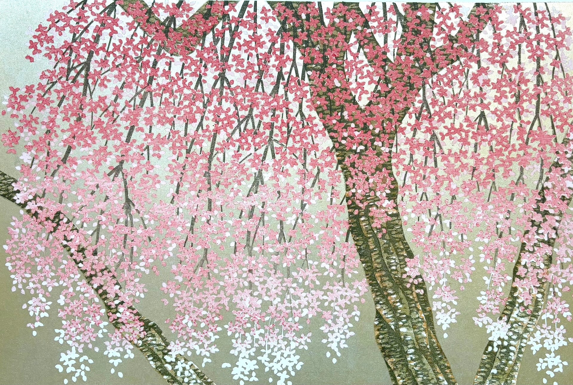 - Shidare Zakura 29  (Weeping Cherry 29) -