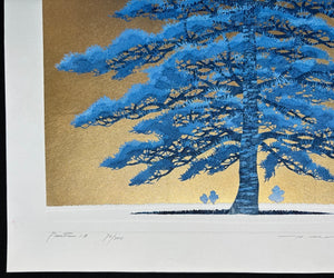 - Pine Tree 1A -