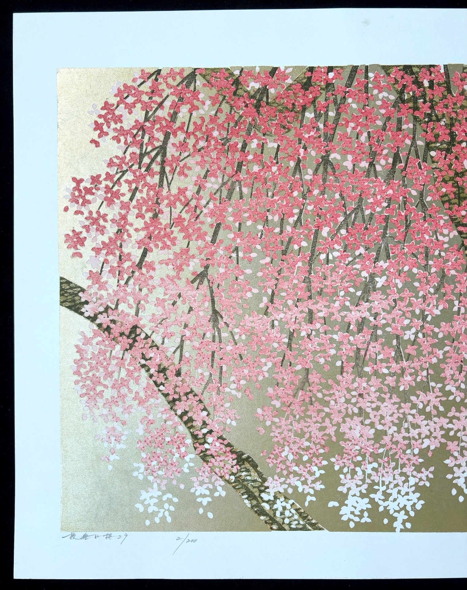 - Shidare Zakura 29  (Weeping Cherry 29) -