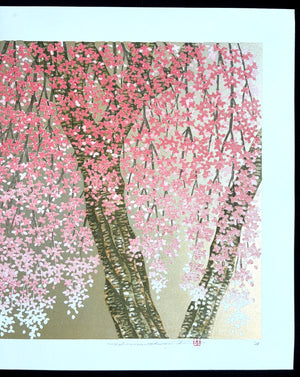 - Shidare Zakura 29  (Weeping Cherry 29) -