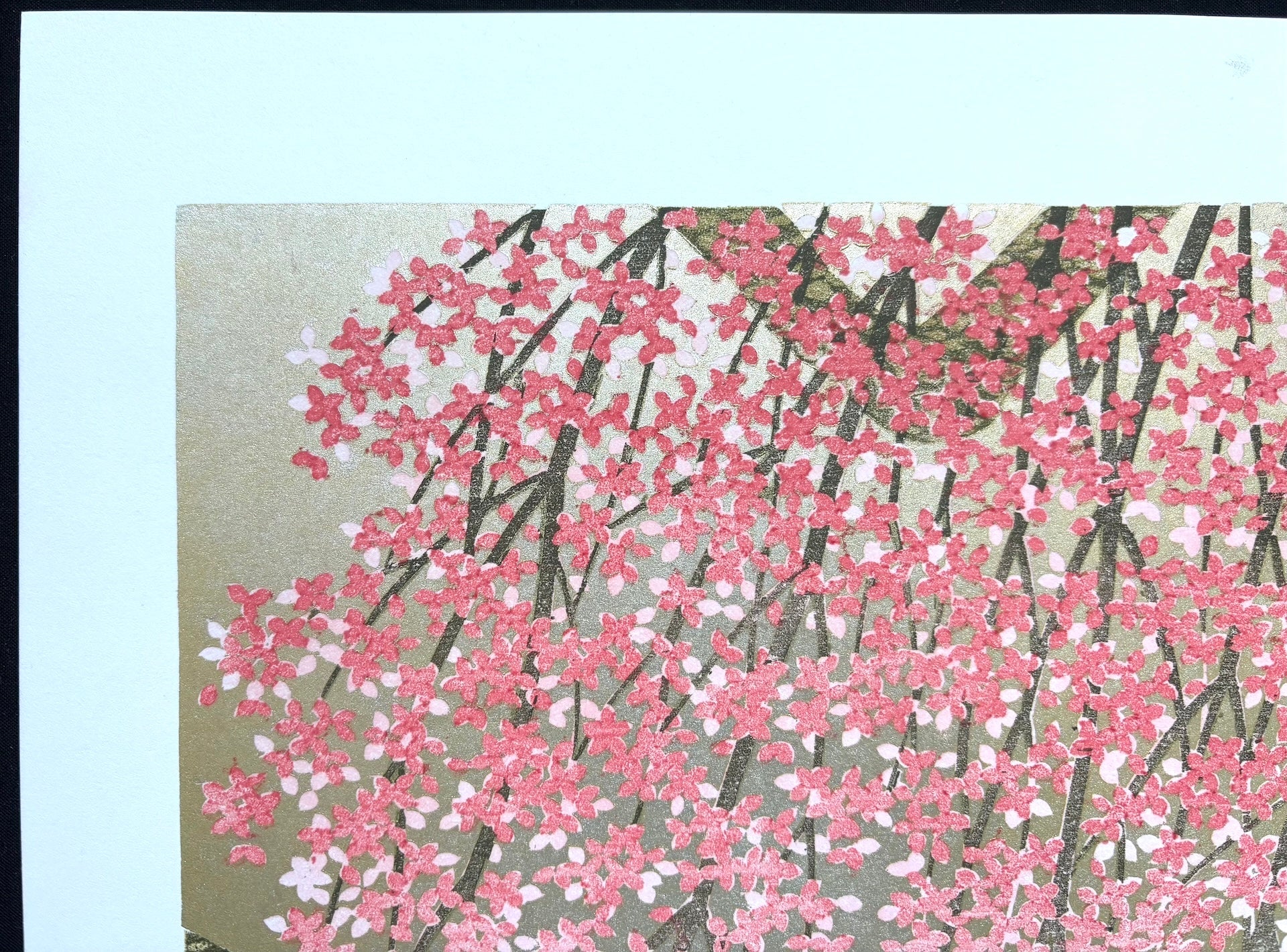 - Shidare Zakura 29  (Weeping Cherry 29) -