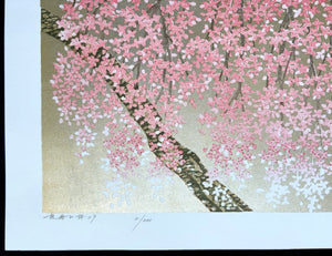 - Shidare Zakura 29  (Weeping Cherry 29) -