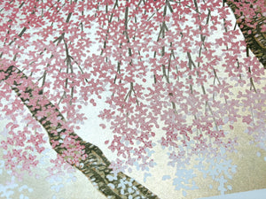 - Shidare Zakura 29  (Weeping Cherry 29) -