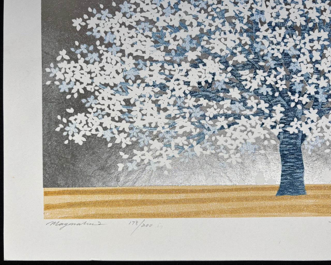 - Magnolia 2 -