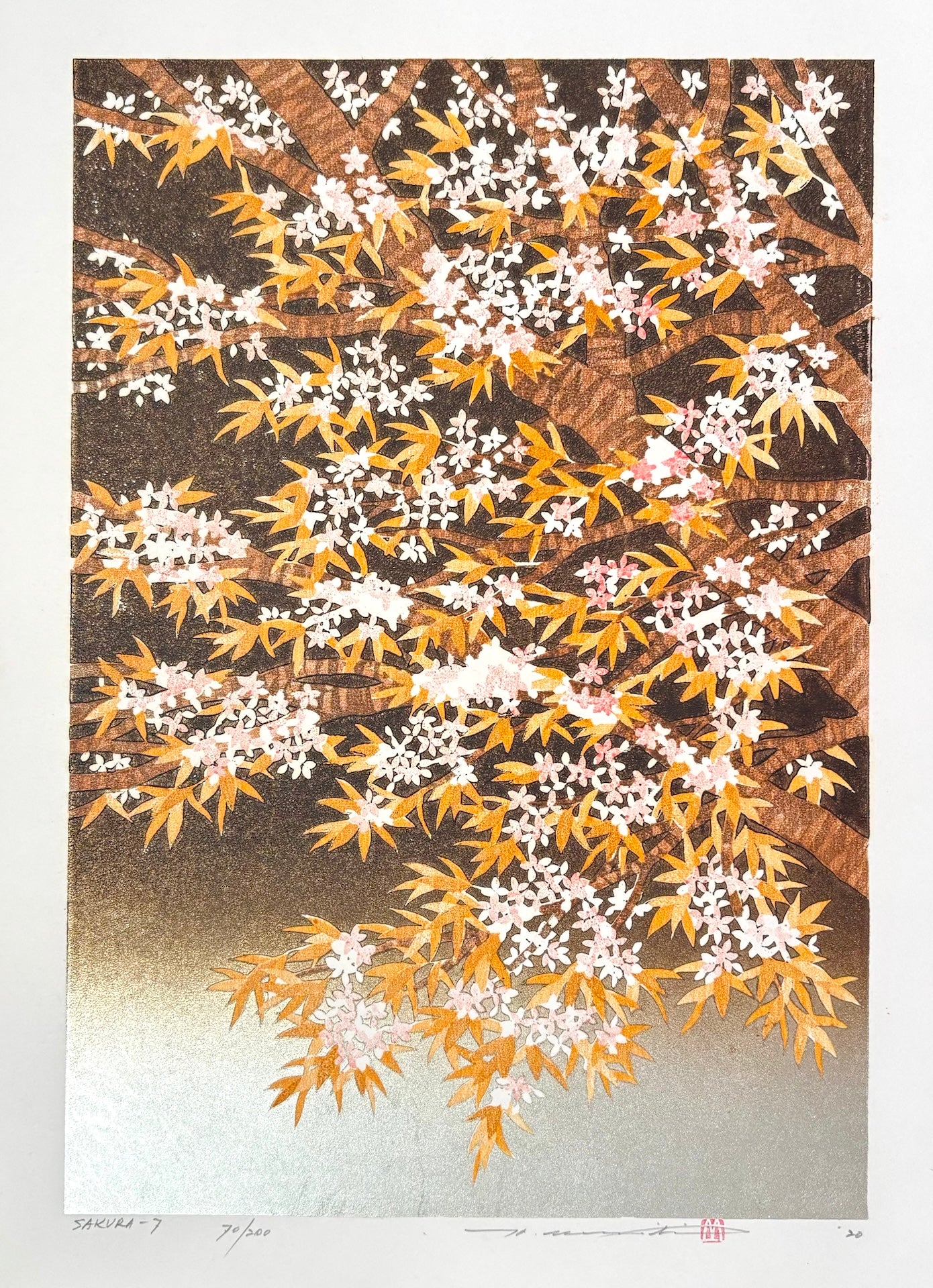 - SAKURA - 7 -
