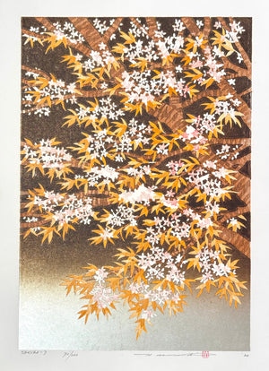 - SAKURA - 7 -