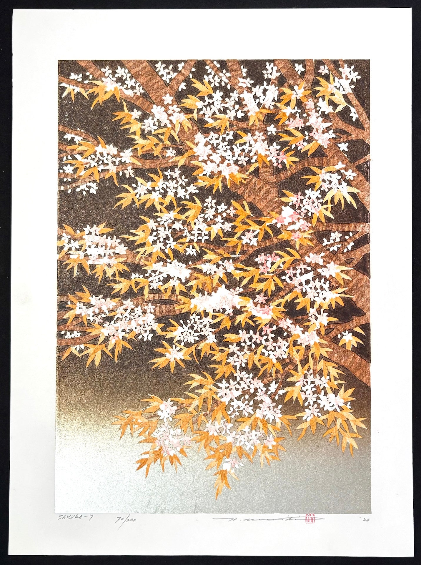 - SAKURA - 7 -