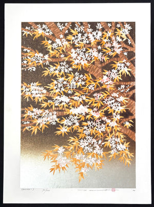 - SAKURA - 7 -