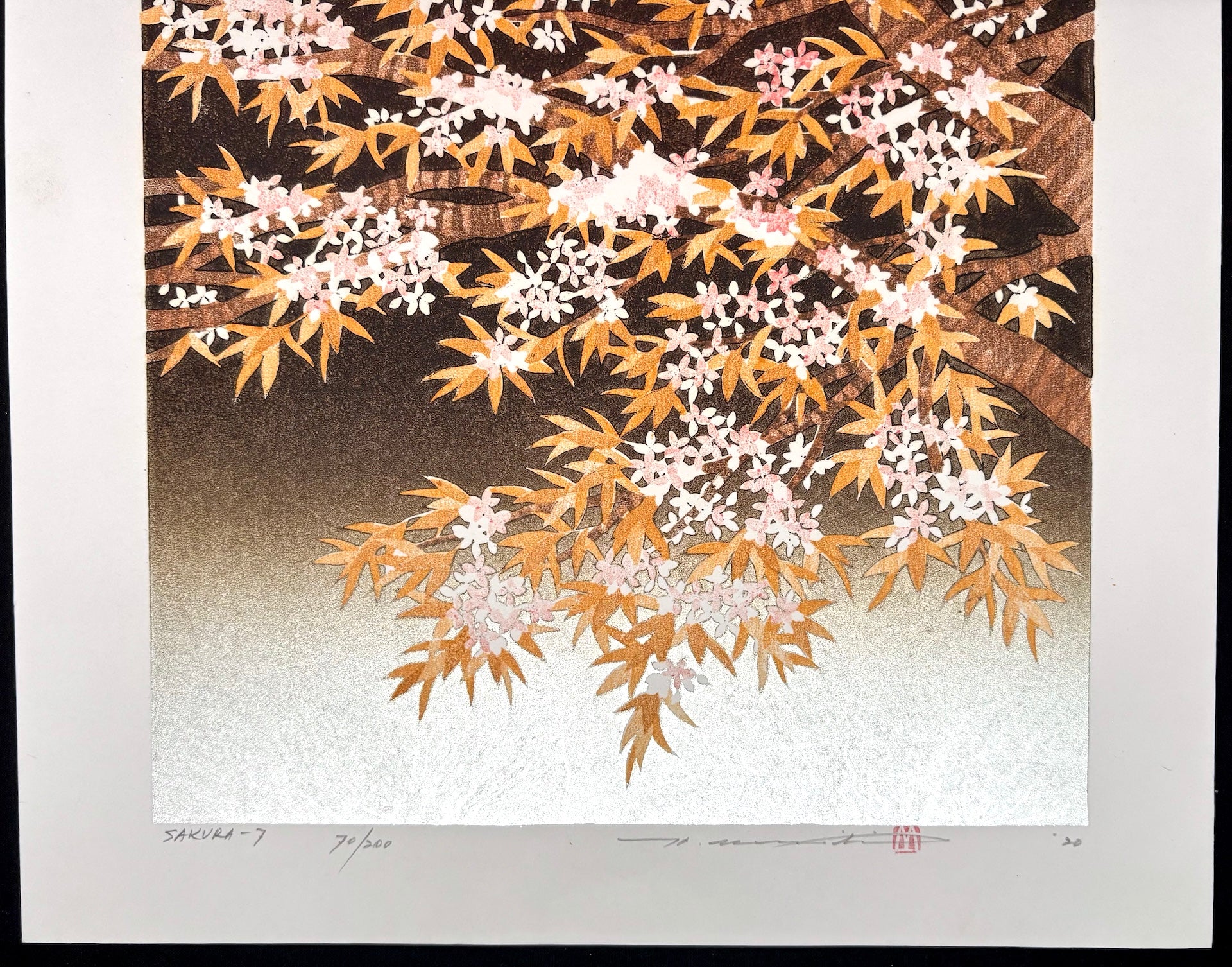 - SAKURA - 7 -