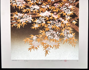- SAKURA - 7 -