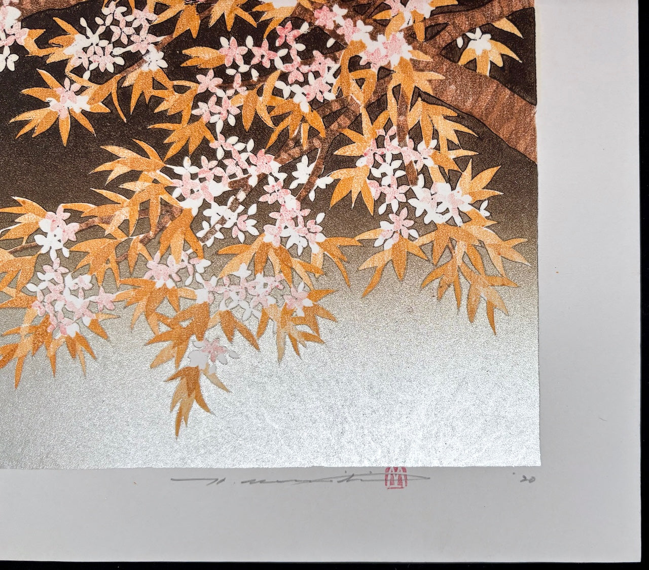- SAKURA - 7 -