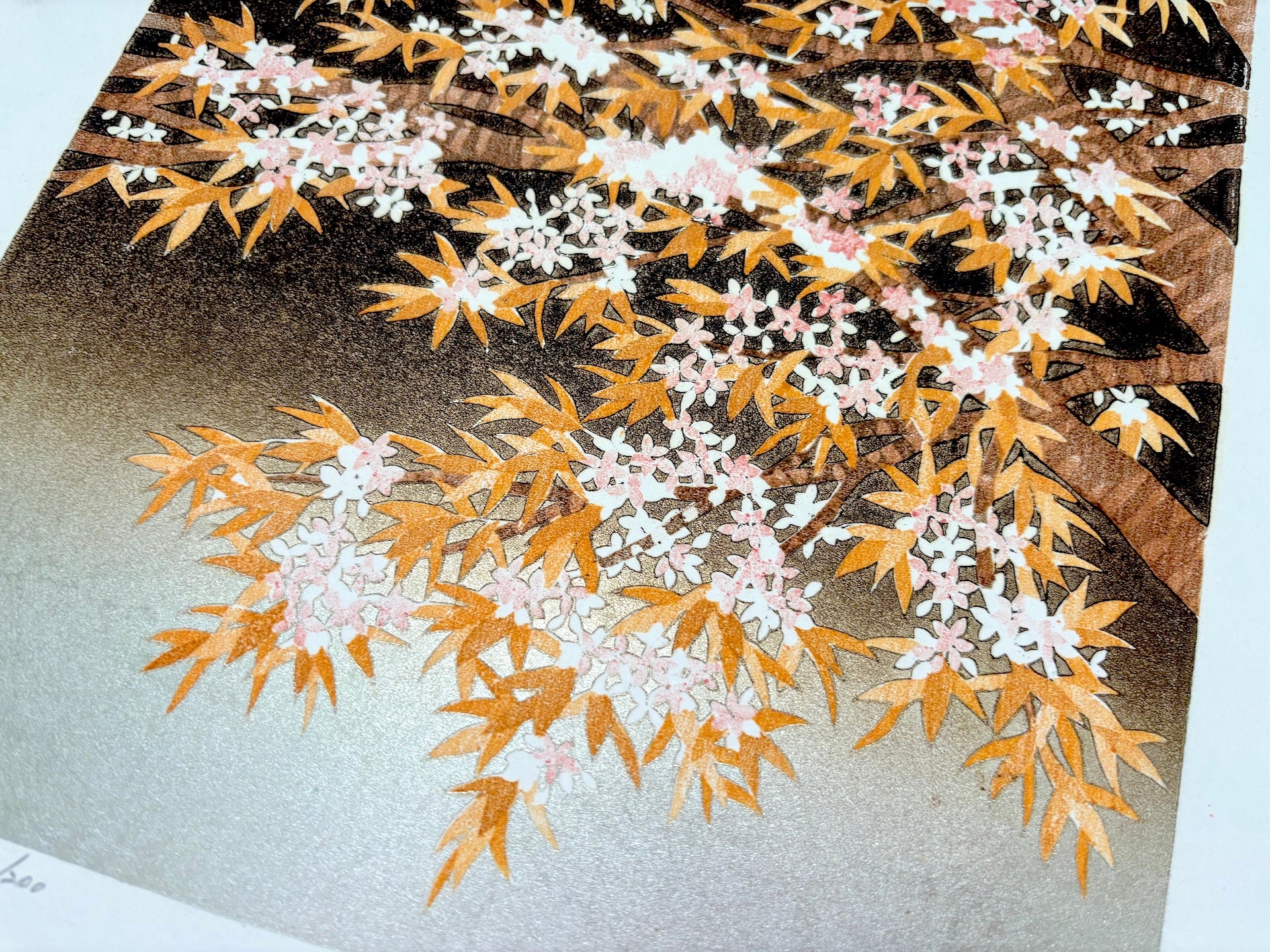 - SAKURA - 7 -