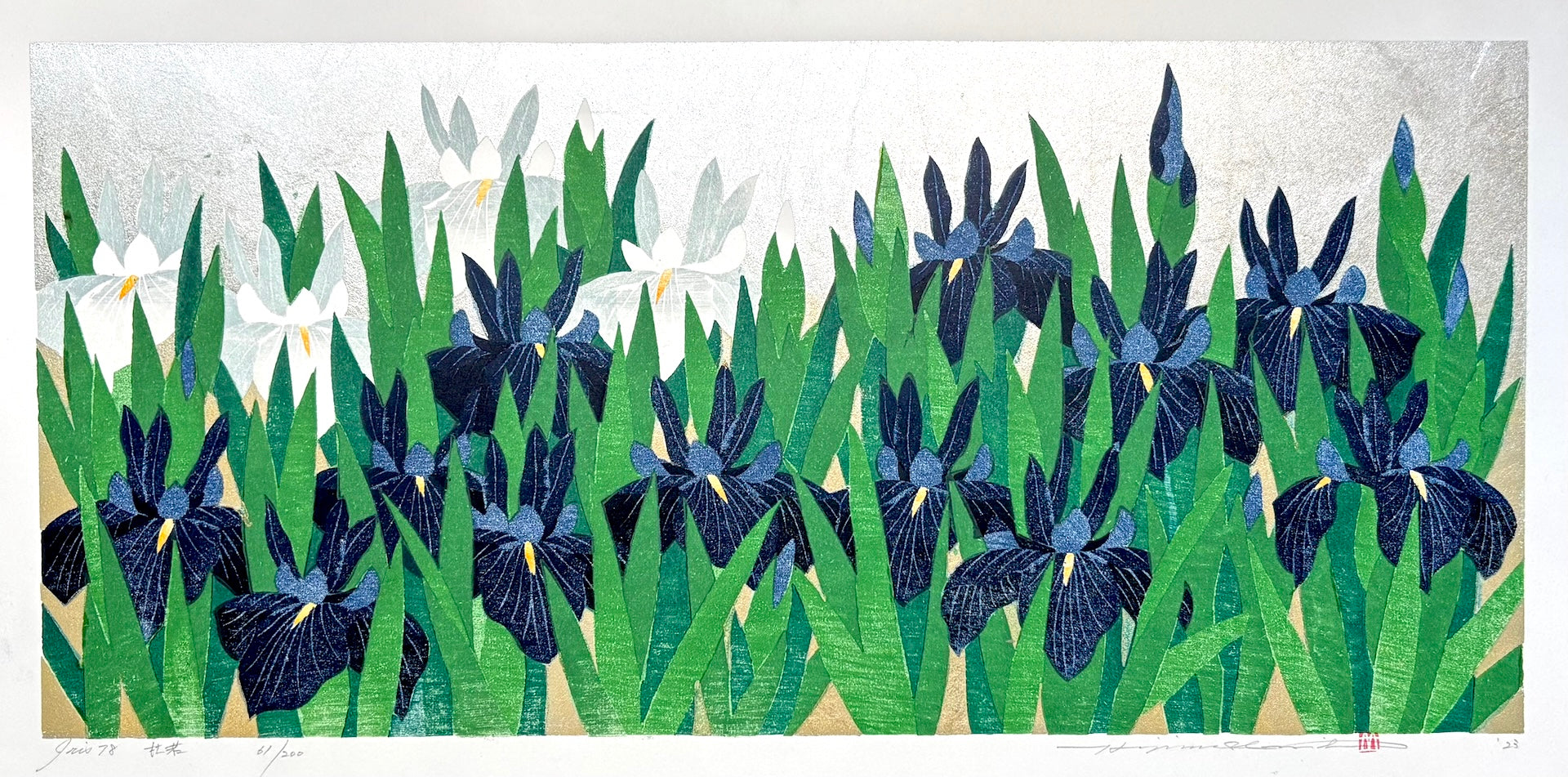 - Iris 78, Kakitsubata -