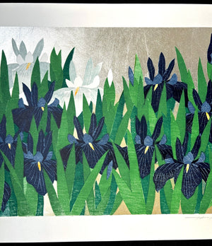 - Iris 78, Kakitsubata -