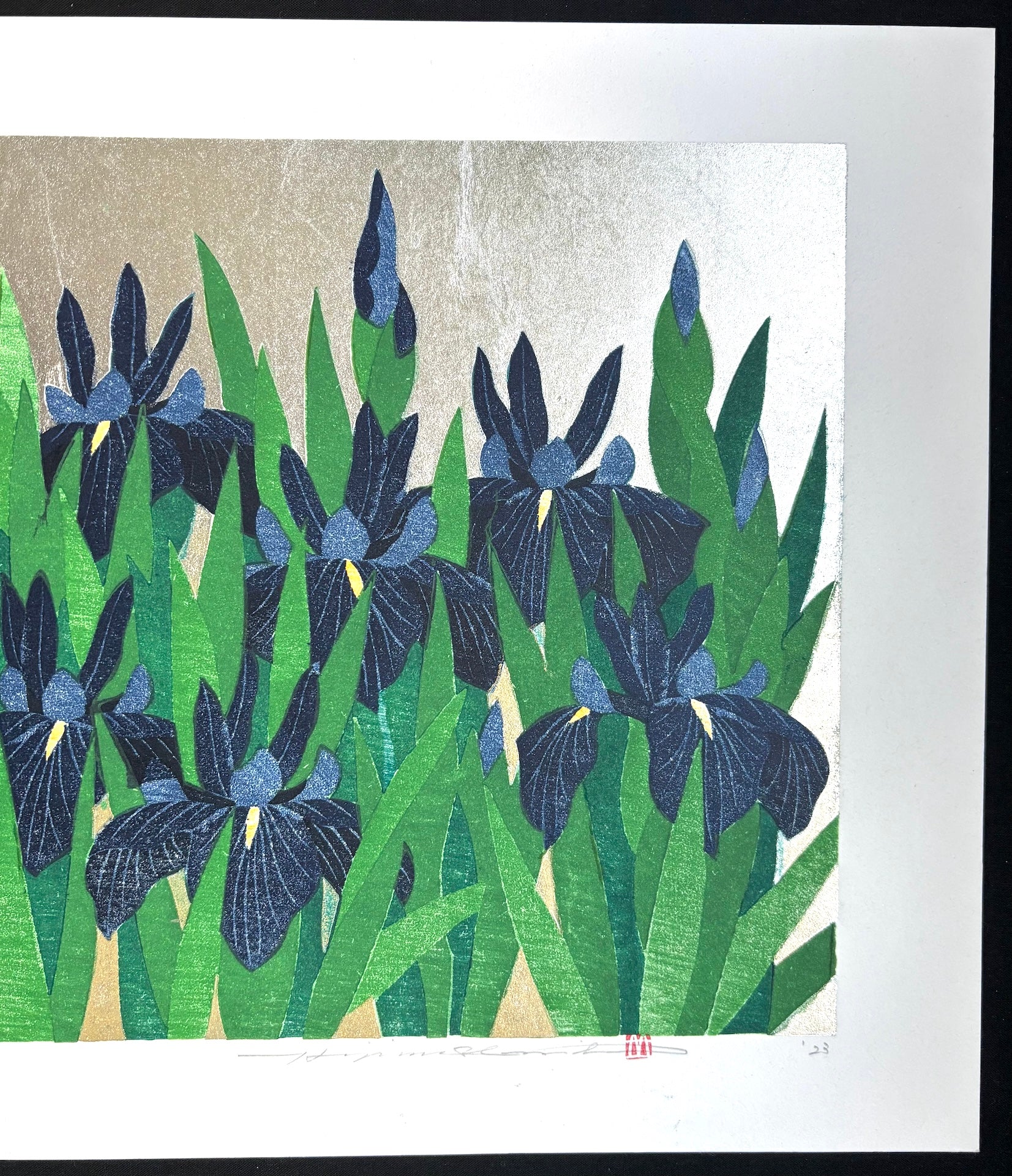 - Iris 78, Kakitsubata -