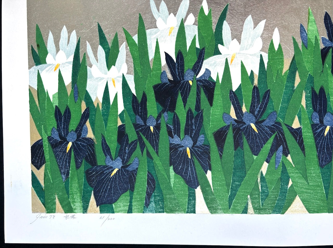 - Iris 78, Kakitsubata -
