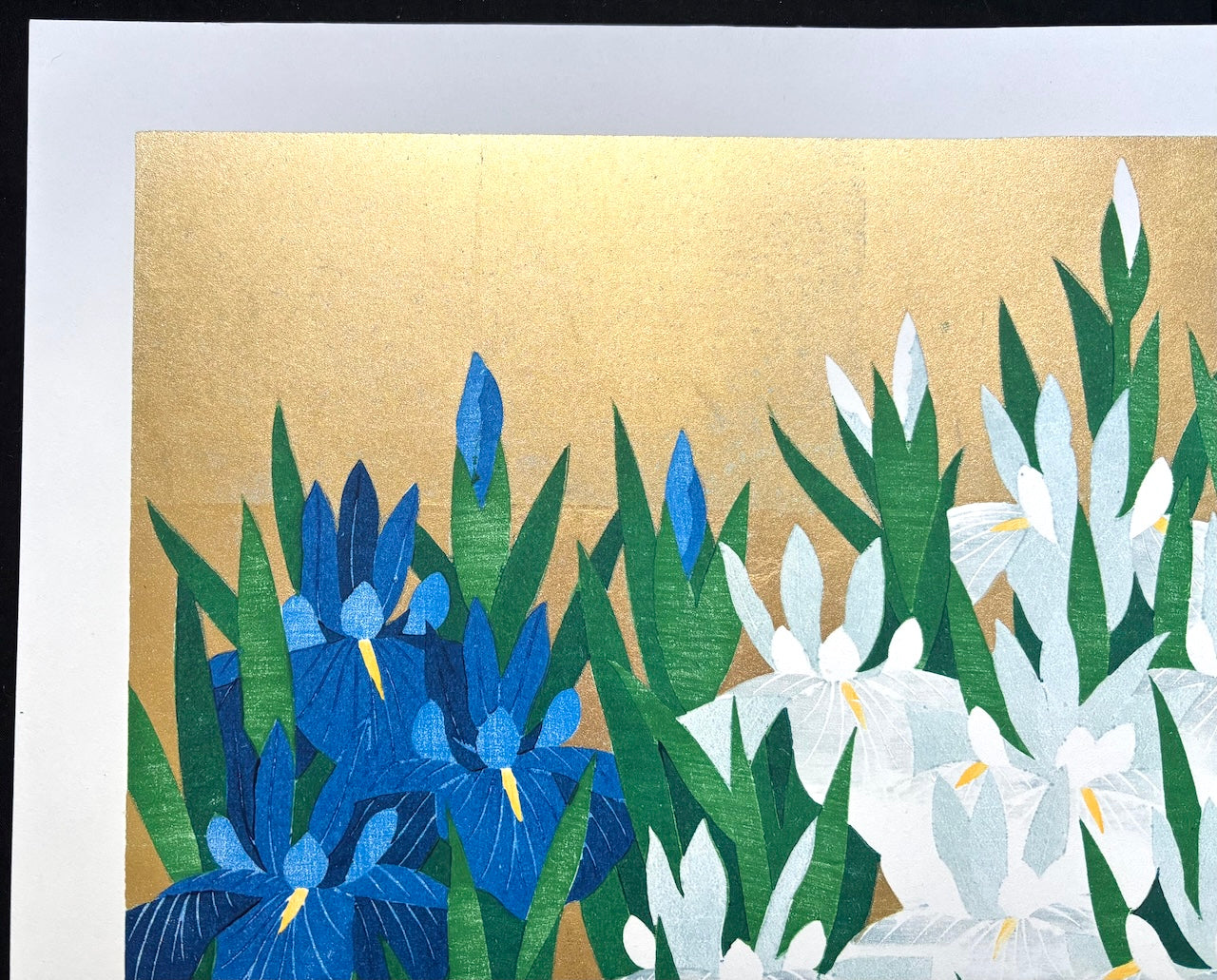 - Iris 79, Kakitsubata -