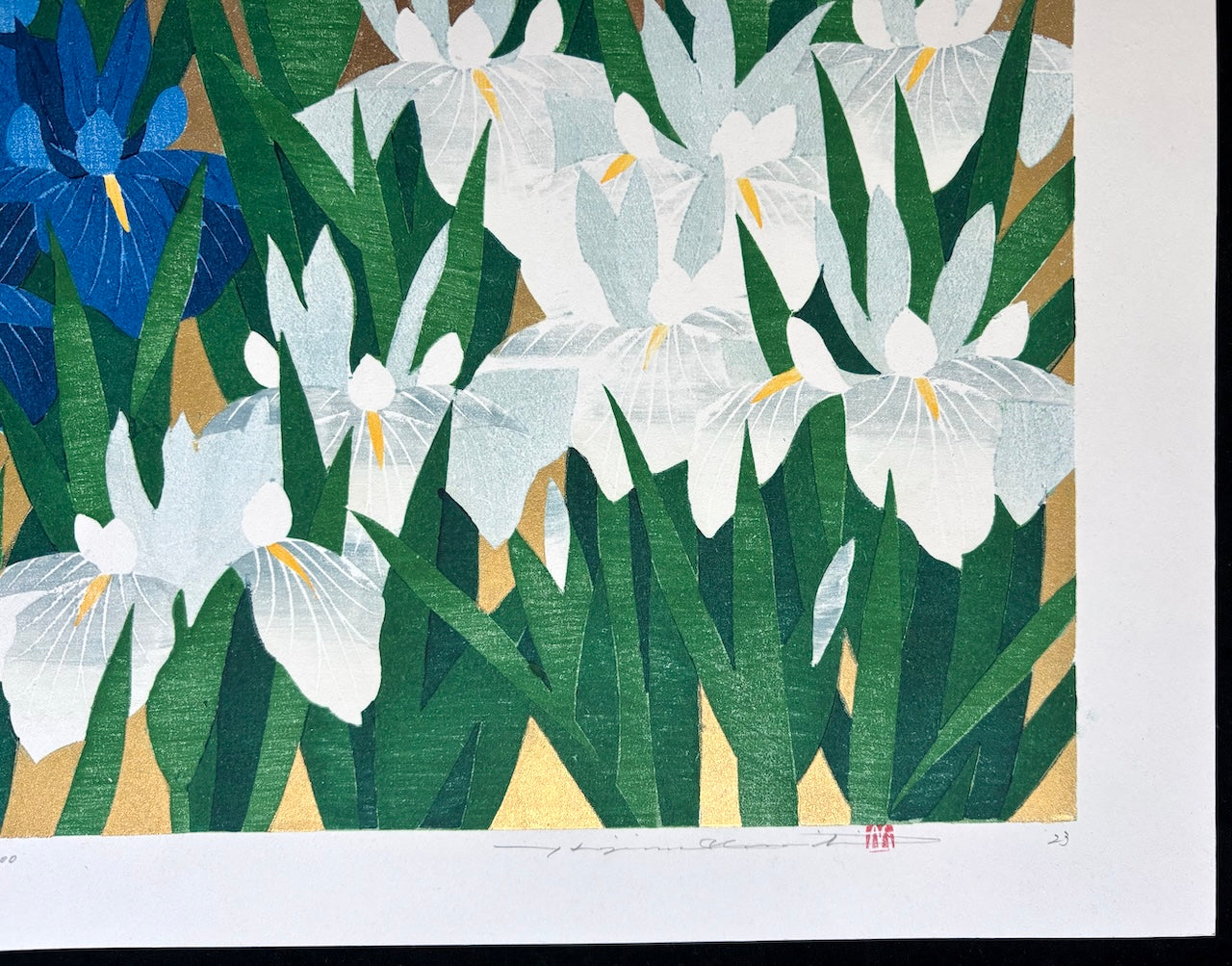 - Iris 79, Kakitsubata -