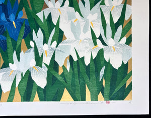 - Iris 79, Kakitsubata -