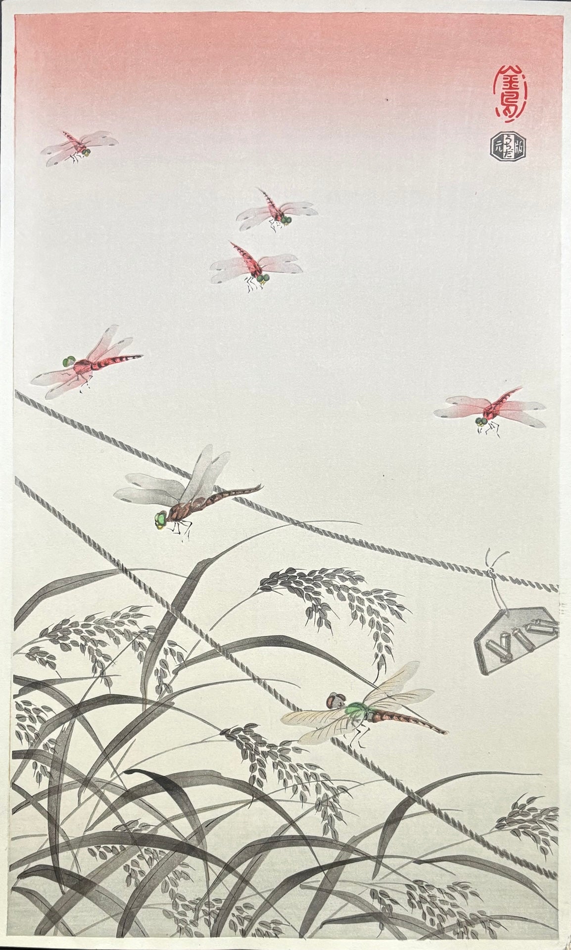 - Tombo (Dragonflies)