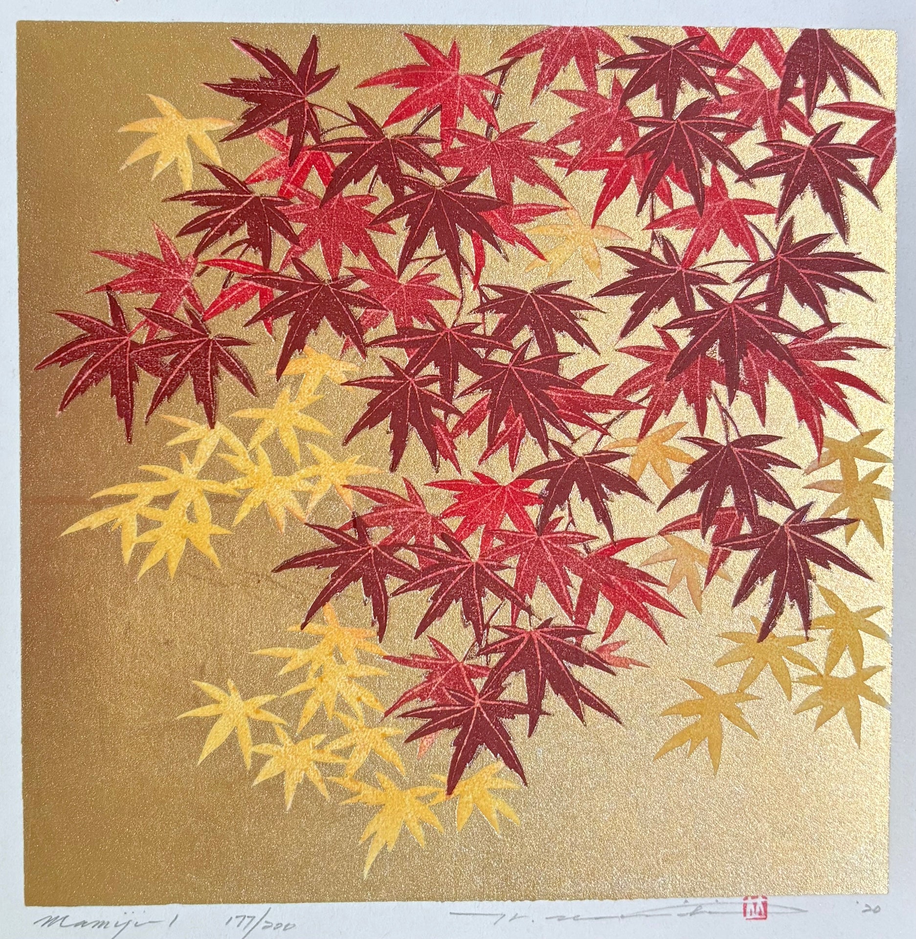 - Momiji 1 -