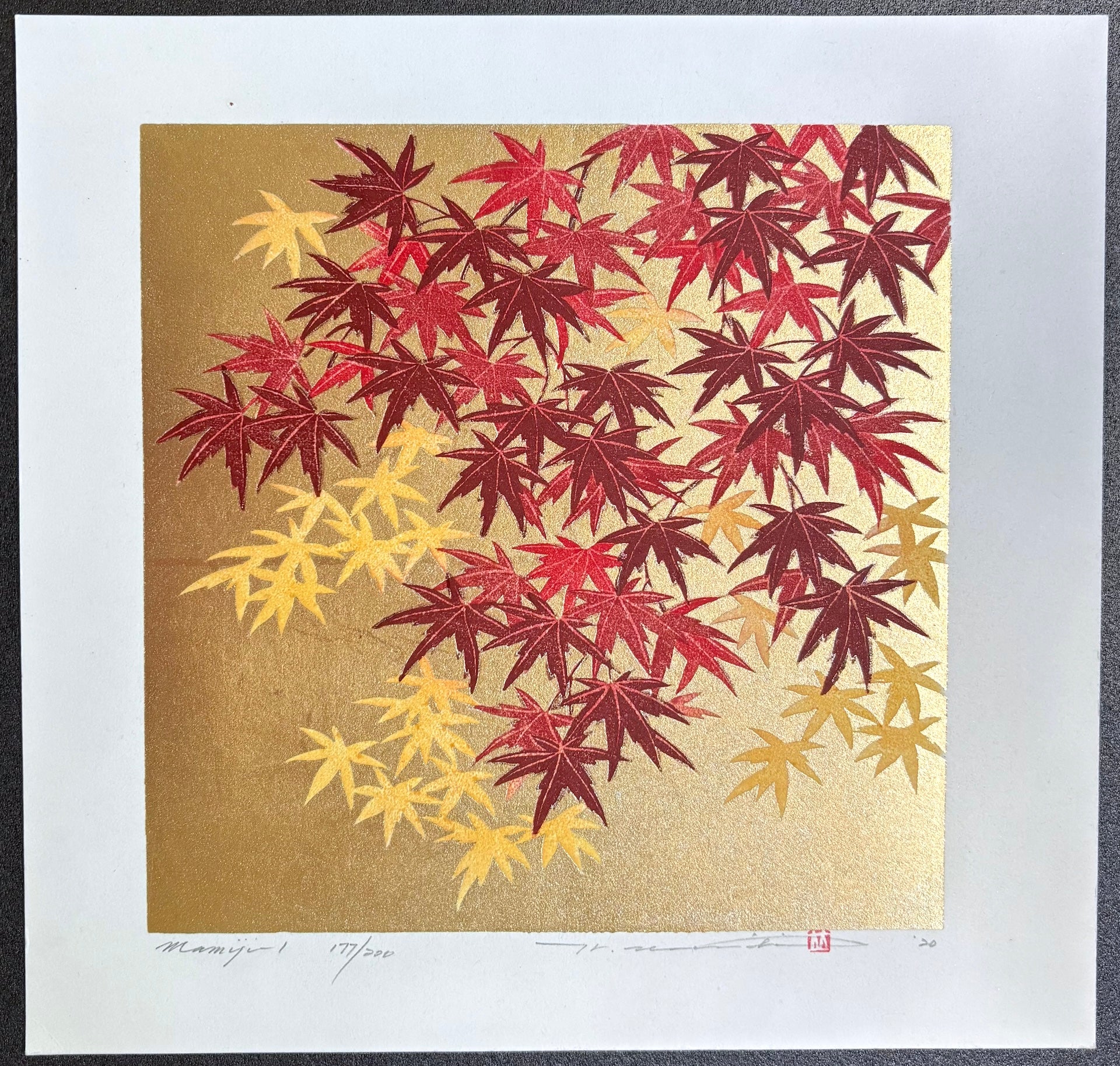 - Momiji 1 -