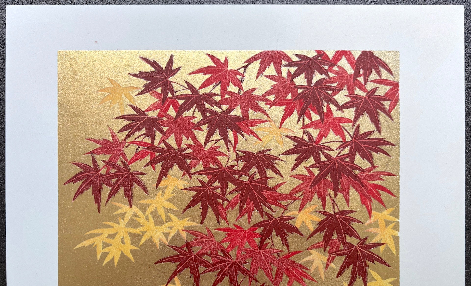 - Momiji 1 -
