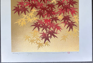 - Momiji 1 -