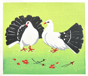 - Two White Doves -