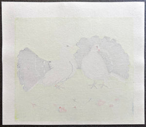 - Two White Doves -