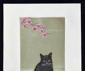 - Kuroneko -15, Sakura (Black Cat 15, Cherry Blossoms) -