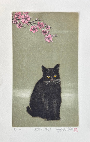 - Kuroneko -15, Sakura (Black Cat 15, Cherry Blossoms) -