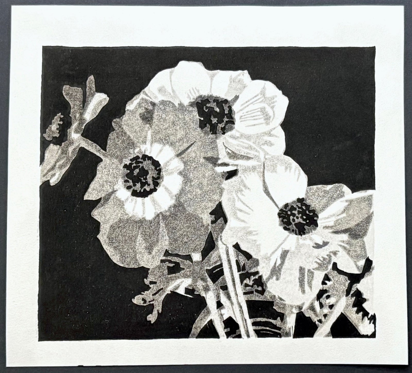 - Anemone - Narumi Katsuragawa - SAKURA FINE ART