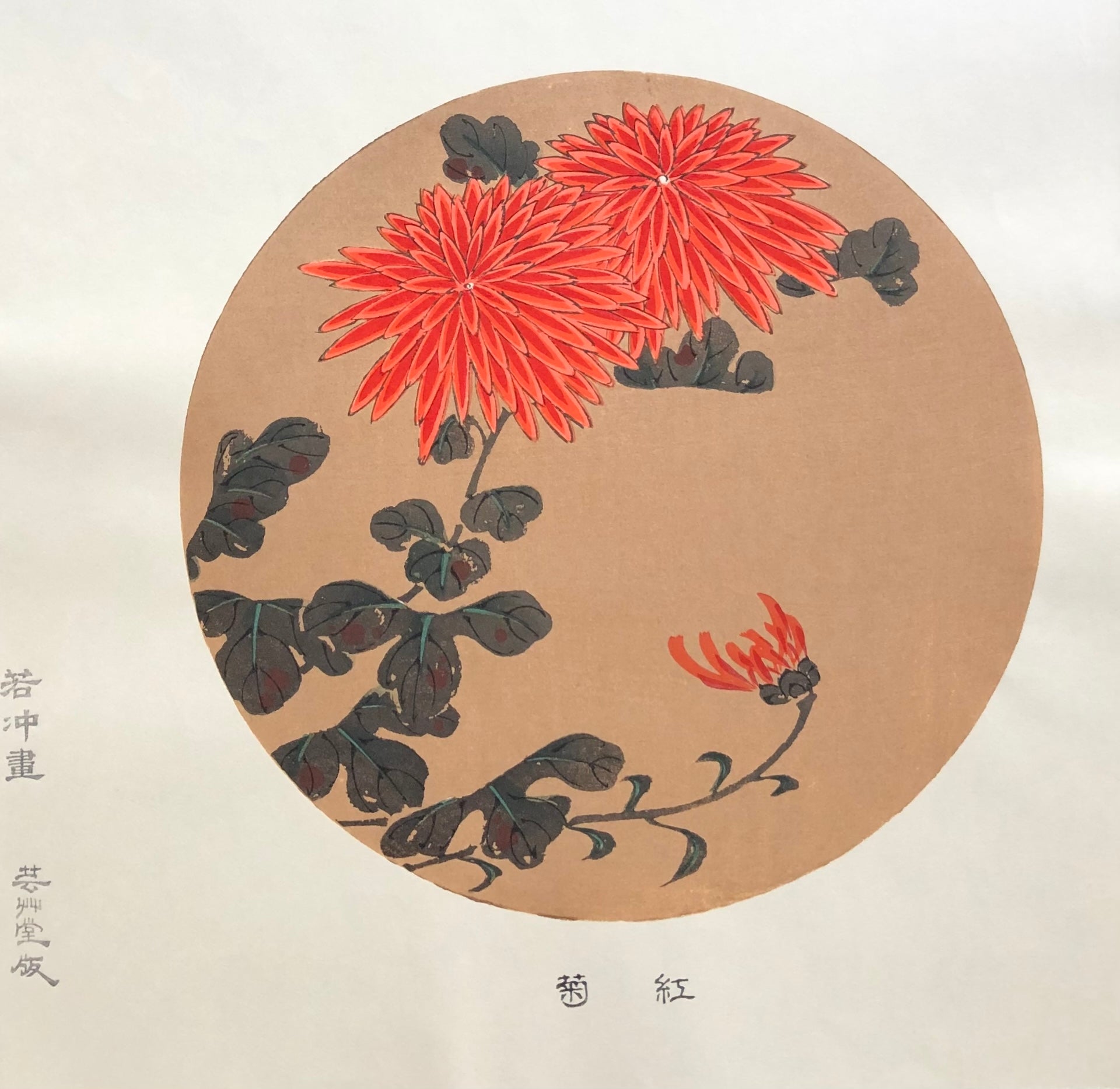  - Benigiku (Red Chrysanthemum) - SAKURA FINE ART