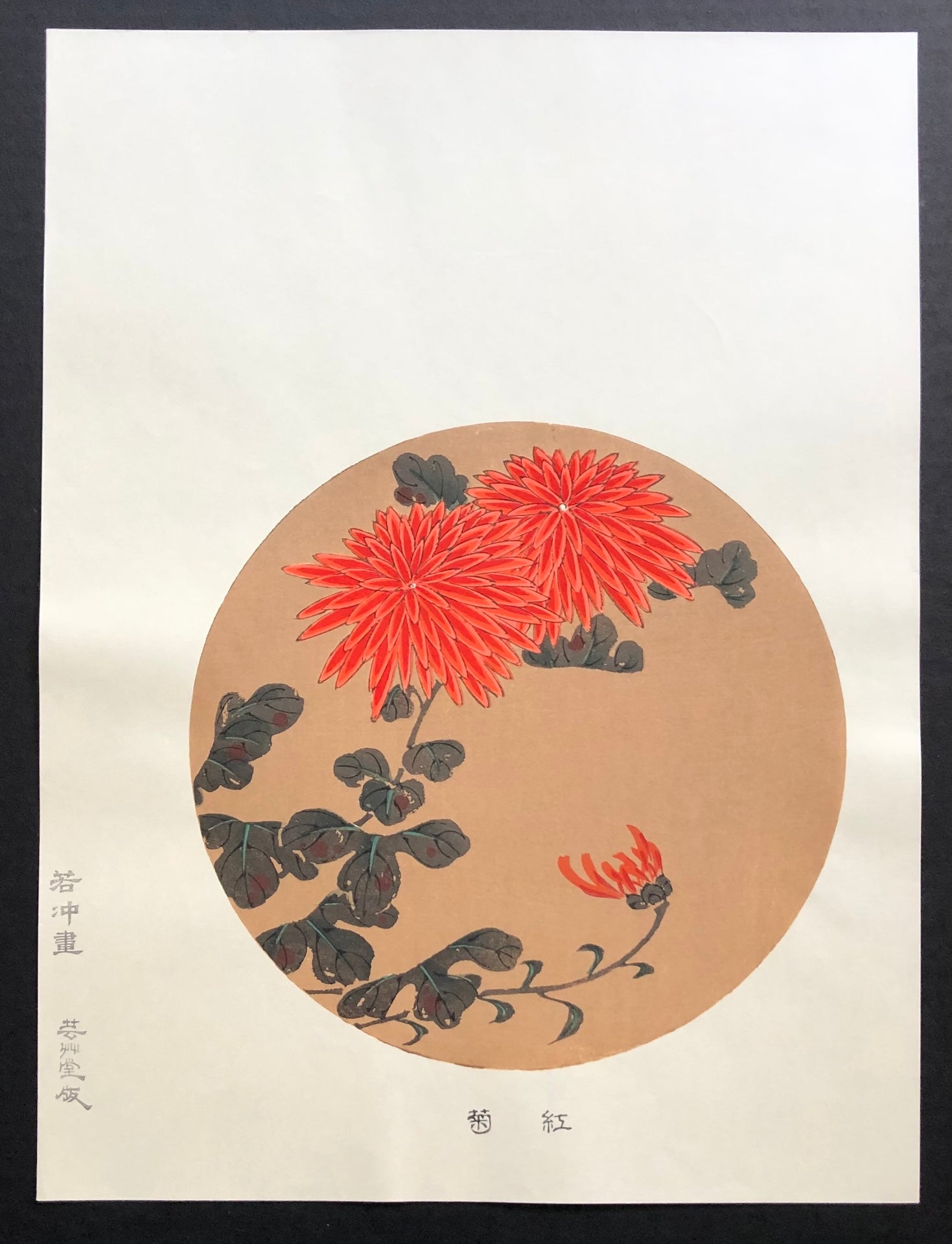  - Benigiku (Red Chrysanthemum) - SAKURA FINE ART