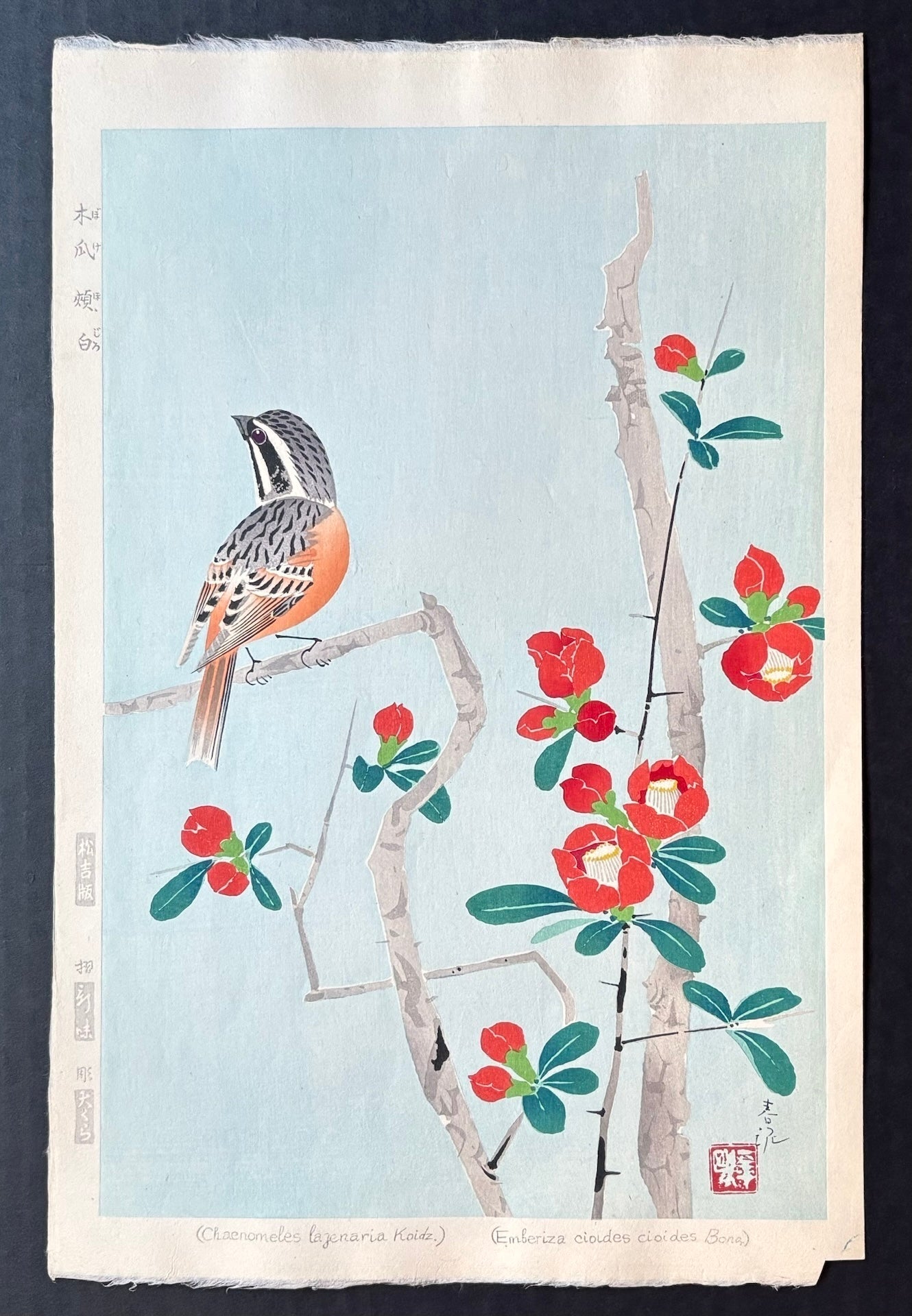  - Boke Hojiro (Meadow Bunting and Japanese Quince ) - Shundei Nakamura - SAKURA FINE ART
