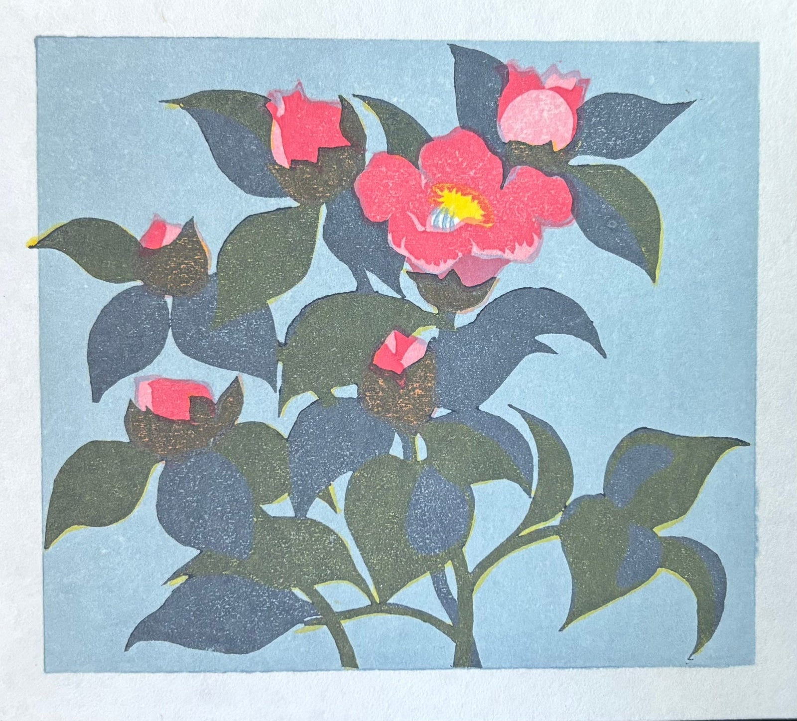  - Camellia - Koho Ohuchi - SAKURA FINE ART