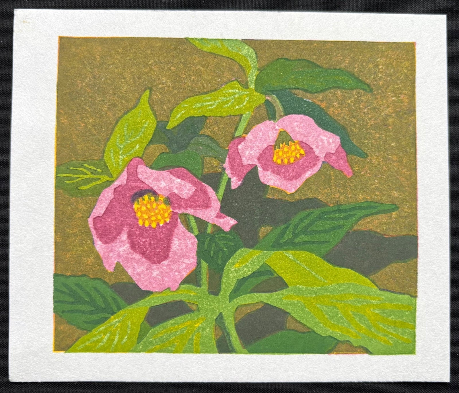  - Christmas Rose - Takumi ItoSAKURA FINE ART