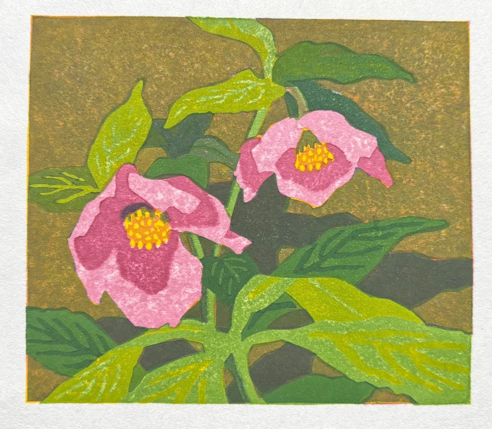  - Christmas Rose - Takumi ItoSAKURA FINE ART