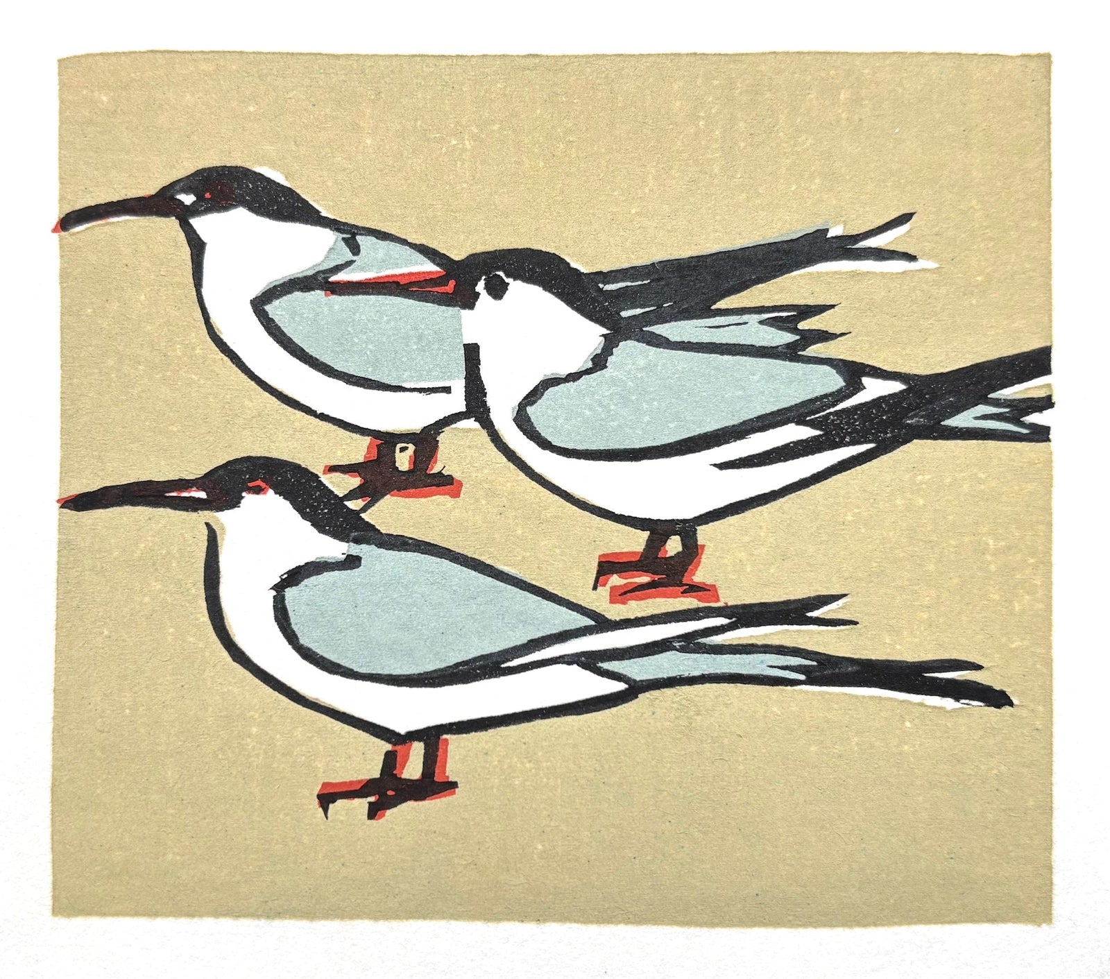  - Common Terns - Yutaka Okubo - SAKURA FINE ART