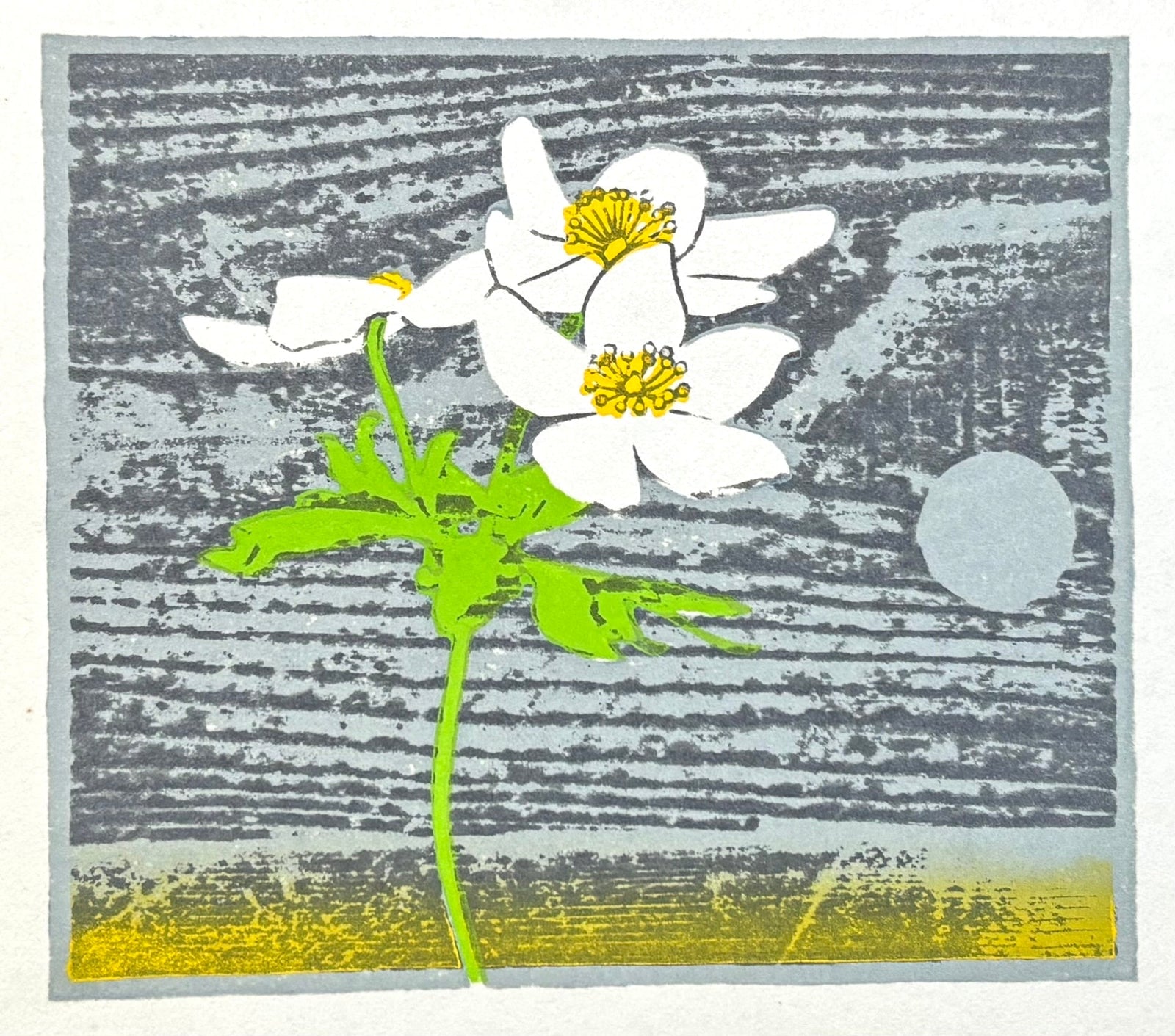  - Evening primrose and Moon - Yasushi Omoto - SAKURA FINE ART