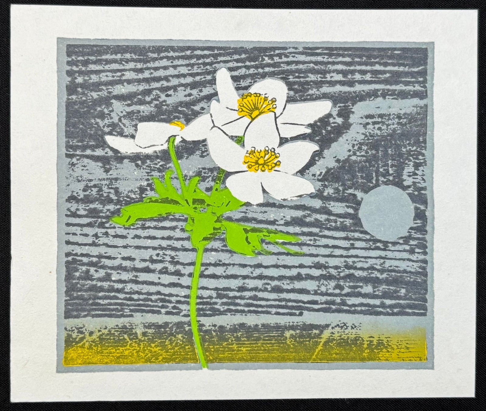  - Evening primrose and Moon - Yasushi Omoto - SAKURA FINE ART