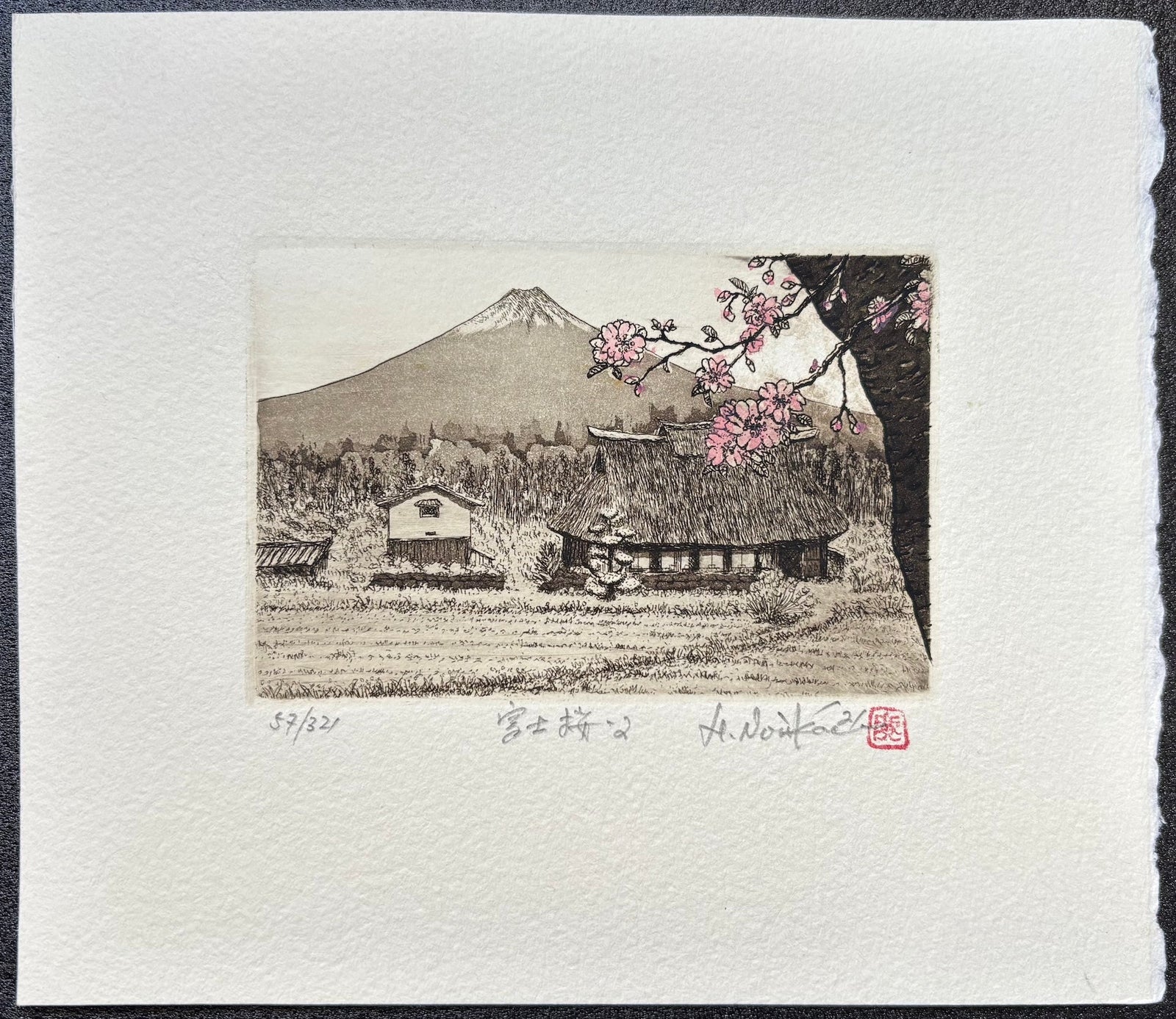  - Fuji Zakura 2 (Cherry Blossoms and Mt. Fuji 2 ) - Hiroto Norikane - SAKURA FINE ART