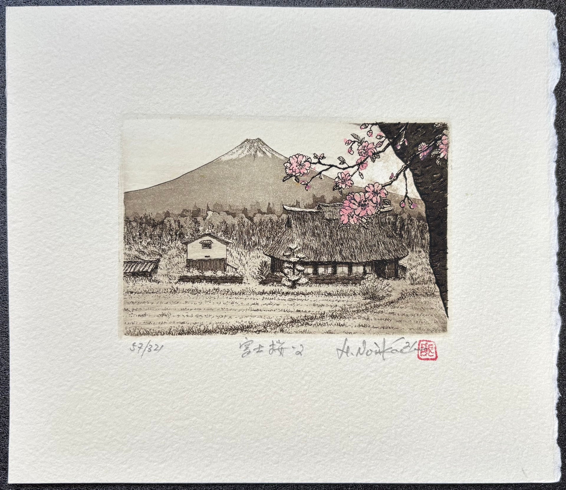  - Fuji Zakura 2 (Cherry Blossoms and Mt. Fuji 2 ) - Hiroto Norikane - SAKURA FINE ART
