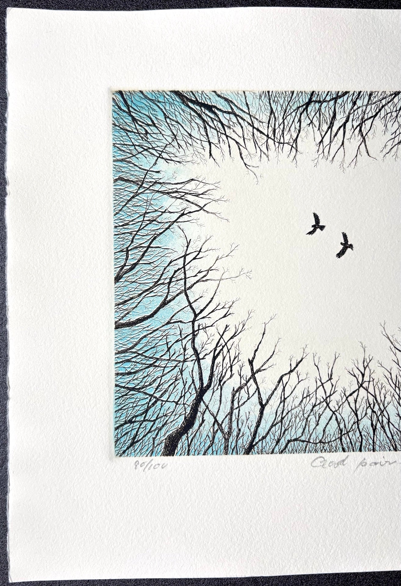  - Good Pair - Hiroto Norikane - SAKURA FINE ART